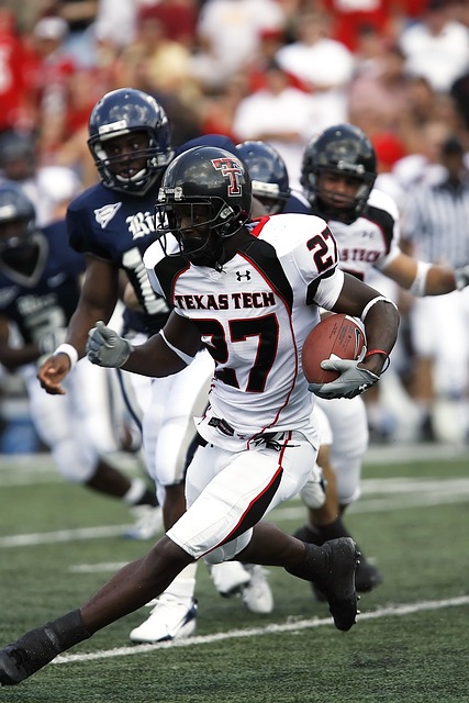 将不仅仅是 将不仅仅是